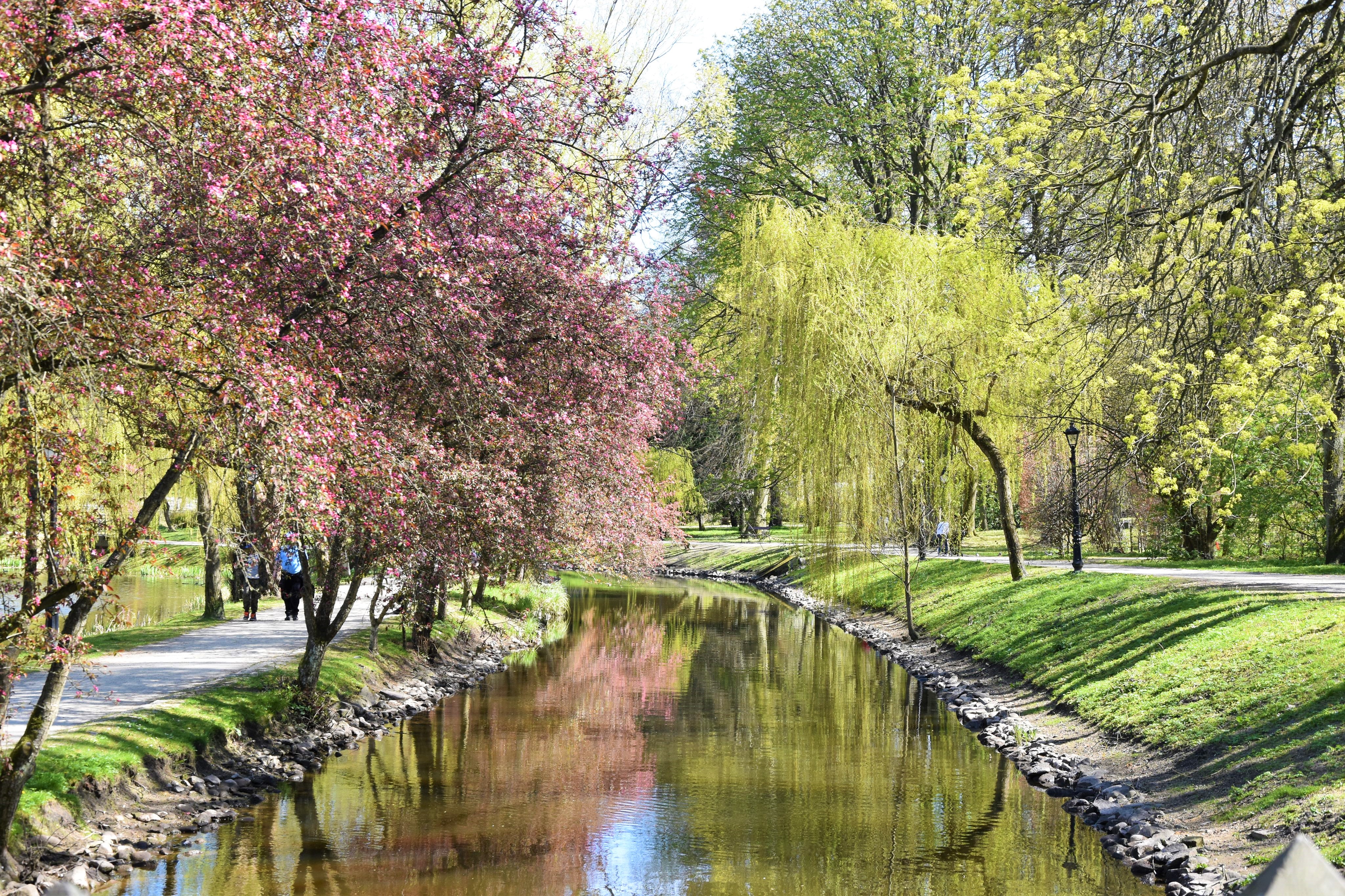 Koszalin Miasto Koszalin Miasto