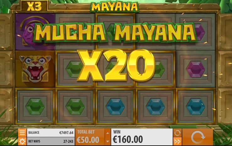 Mucha Mayana Mucha Mayana