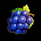 symbol winogrono symbol winogrono