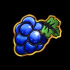 symbol winogrono symbol winogrono